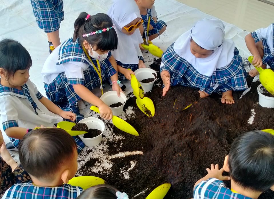 WhatsApp Image 2024-11-11 at 11.35.16